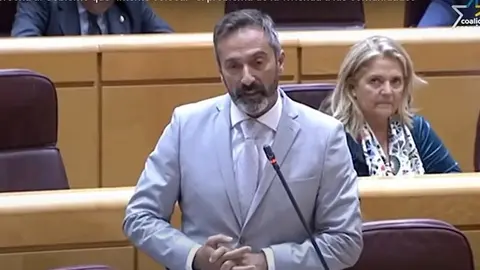 Pedro San Ginés durante su participación en el Senado.
