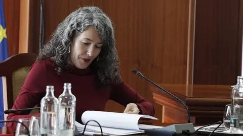 Ariagona González - pleno del debate del estado de la isla