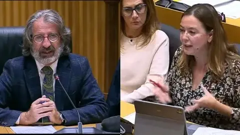 Imagen de la diputada nacional preguntando al experto que acudió al Congreso.