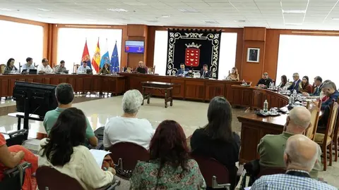 Imagen del pleno del Cabildo celebrado este jueves.