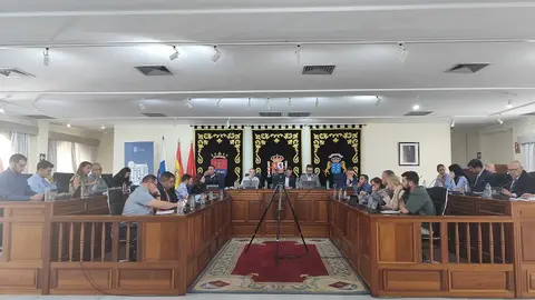 Pleno Arrecife 4 de diciembre