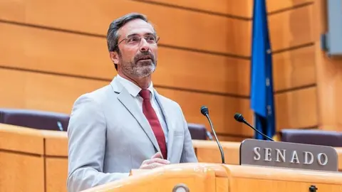Pedro San Ginés senador Coalición Canaria