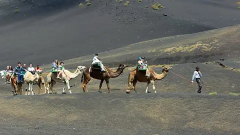 Turistas disfrutando de un paseo en camello por Lanzarote.