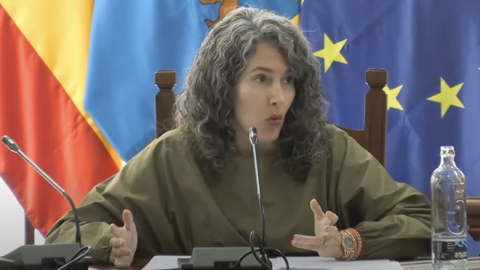 Ariagona González en el pleno del Cabildo de Lanzarote.