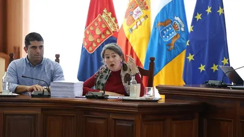 Ariagona González durante uno de los plenos del Cabildo.
