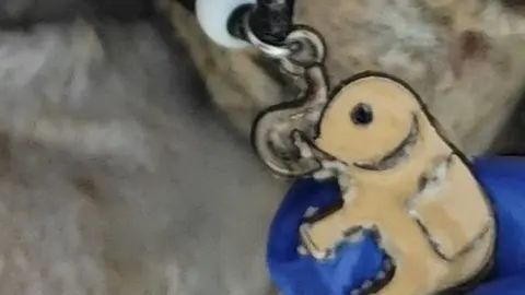 Imagen de detalle del colgante que llevaba la persona que quieren identificar.