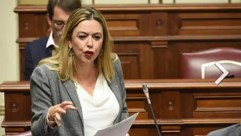 María Dolores Corujo en el Congreso de los Diputados.
