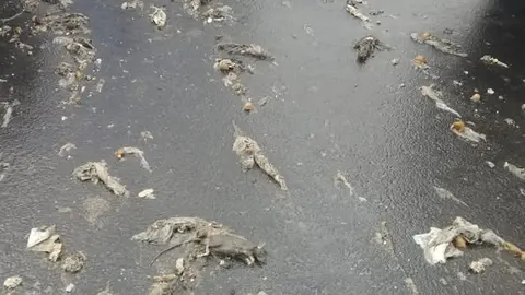 Imagen de la basura que aparece en la capital junto a las lluvias.
