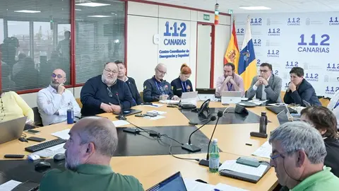 Imagen de la reunión del Comité Científico presidida por el consejero Manuel Miranda.