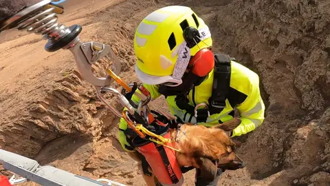 Unidad canina utilizada en los rescates.