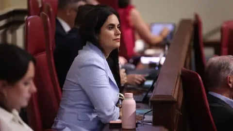 Vidina Espino en el Parlamento de Canarias.