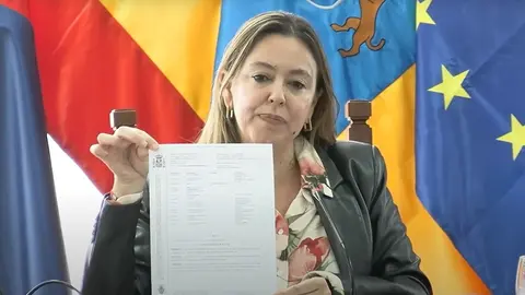 María Dolores Corujo mostrando un autojudicial durante el pleno del Cabildo.
