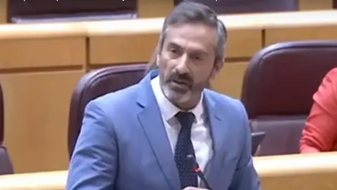 Pedro San Ginés en una de sus intervenciones en el Senado.