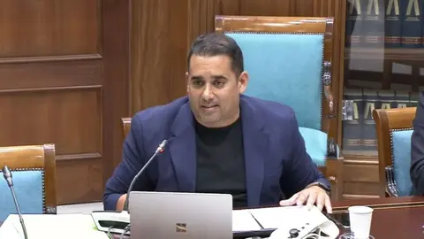 Yoné Caraballo en una comisión de Sanidad del Parlamento autonómico