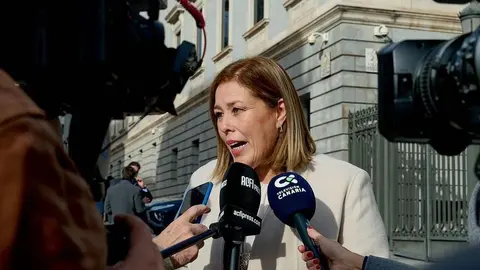Astrid Pérez a la entrada del Parlamento de Canarias