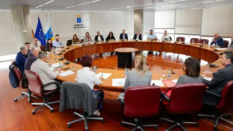 María Fernández durante la celebración de un encuentro de la Mesa del Transporte en Canarias