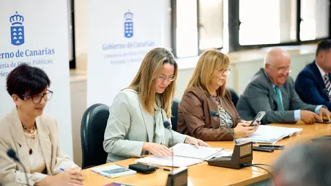 María Fernández en la mesa del transporte terrestre de Canarias.