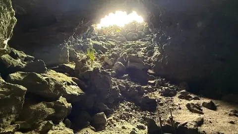 Entrada al Túnel de la Corona - Jameo de la Gente
