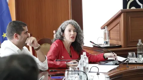 Ariagona González en un pleno del Cabildo de Lanzarote