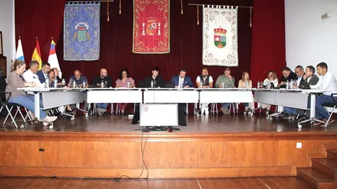 Pleno del Ayuntamiento de Yaiza.
