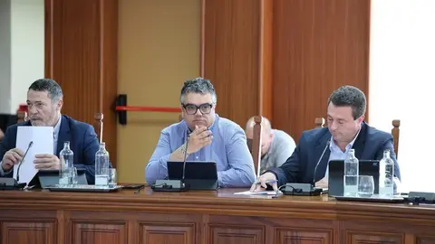 Armando Santana durante un pleno del Cabildo