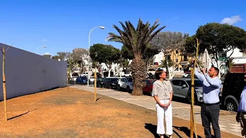 La productora de Navilan dona 50  flamboyanes dentro de la iniciativa del Ayuntamiento de Arrecife para que se unan a la campaña de reforestación de los barrios 
