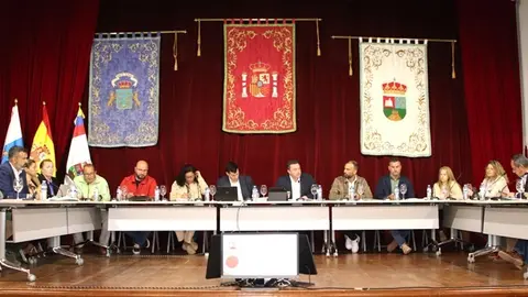 Pleno del Ayuntamiento de Yaiza.