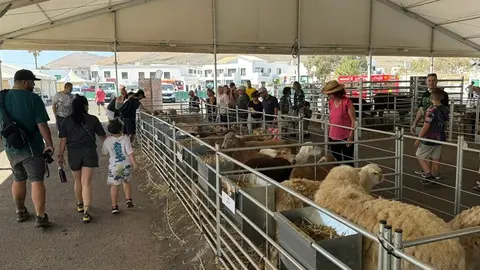 Imagen de archivo de la Feria de Ganadería de Uga.