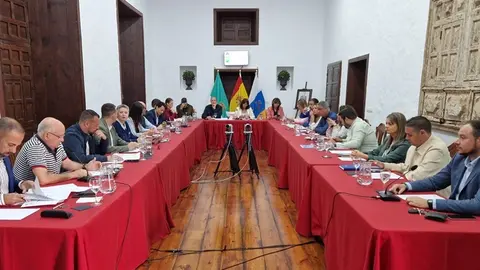 Pleno del Ayuntamiento de Teguise.
