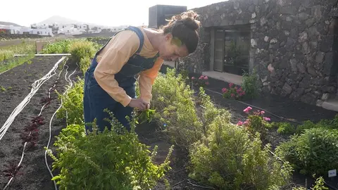 Imagen de cultivos tradicionales de Lanzarote.