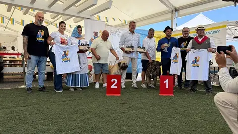 Club lanzaroteo presa canario en el parque Ramírez Cerdá.