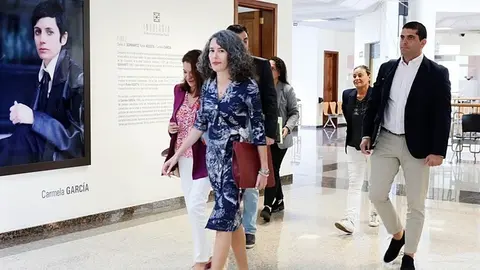 Ariagona González junto al Grupo socialista llegando al pleno