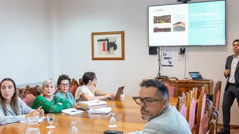 Momento de presentación de la campaña en el Cabildo