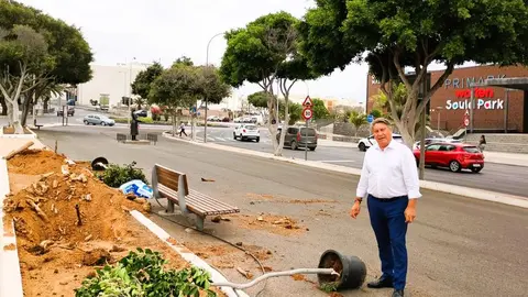 El concejal de Parques y Jardines de Arrecife, Roberto Herbón, supervisa el trasplantado de los nuevos árboles laures de India en la Vía Medular 