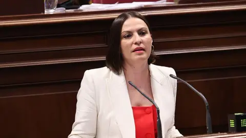 Migdalia Machín durante su intervención en el Parlamento