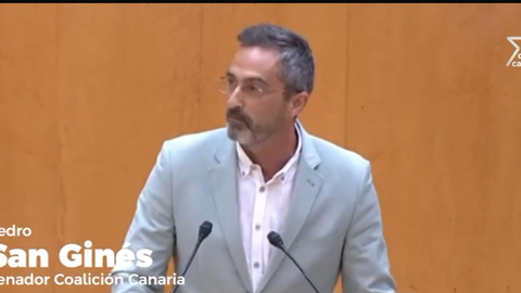 Pedro San Ginés durante su intervención en el Senado.