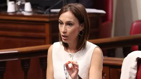 Nira Fierro este martes en el Parlamento autonómico.