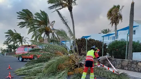 Los bomberos tuvieron que acudir a numerosos servicios a lo largo del día.