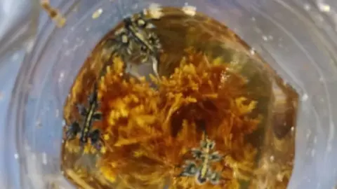 Dragones azules en la playa de Famara.