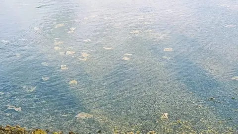 Toallitas vertidas desde la red de saneamiento que llegan hasta el fondo del Charco de San Ginés