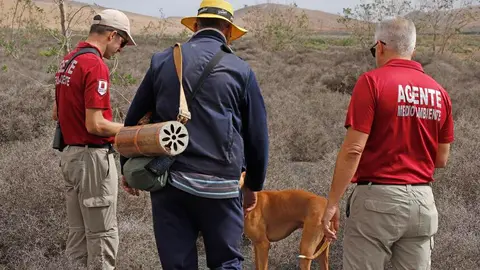 Agentes Medioambiente del Cabildo en Haría.