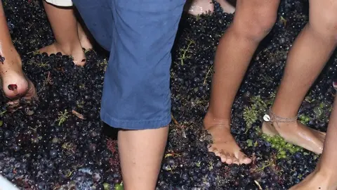 Vecinos pisando la cosecha de la vendimia.