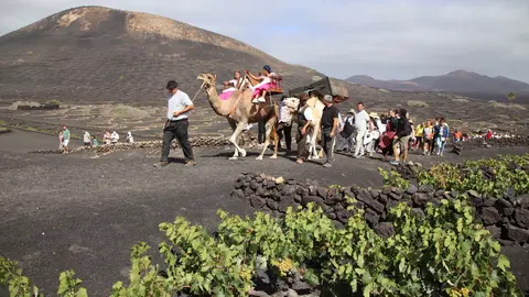 Imagen de archivo de la vendimia tradicional.