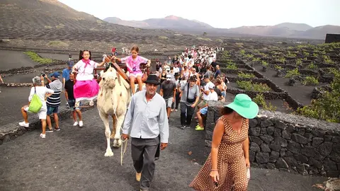 Imagen de la tradicional vendimia.