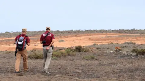 Unidad canina y agentes MA.
