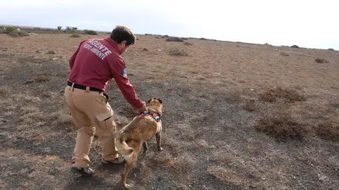 Unidad canina y Agentes de Medio Ambiente.