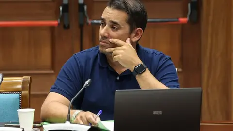 Yoné Caraballo en la comisión de Sanidad.