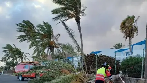 Imagen de archivo de los estragos causados por el viento en otras ocasiones. 