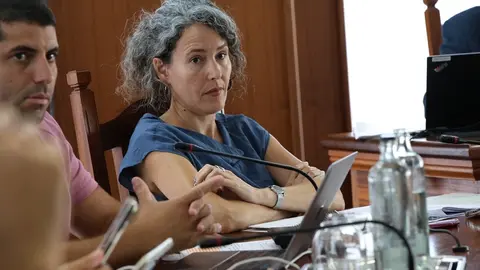 Benjamín Perdomo y Ariagona González durante un pleno del Cabildo.