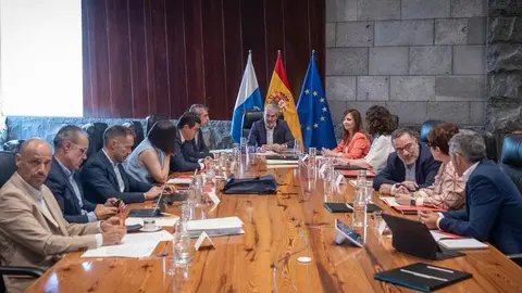 Imagen del encuentro del Consejo de Gobierno de Canarias celebrado este viernes.